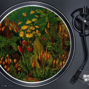 Feutrines jungle shrooms pour platine vinyle .