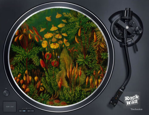 Feutrines jungle shrooms pour platine vinyle .