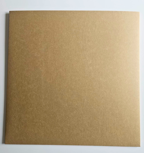 pochette carton kraft 33T